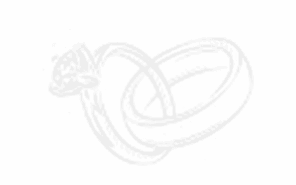 ring-shadow